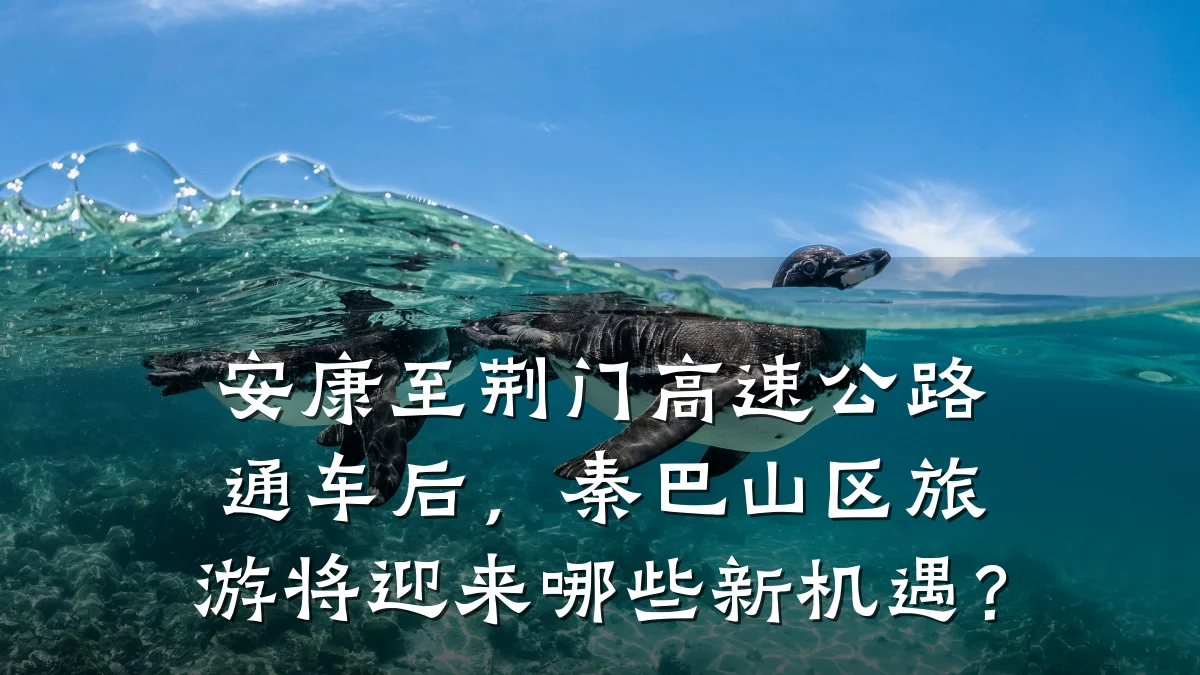 安康至荆门高速公路通车后，秦巴山区旅游将迎来哪些新机遇？
