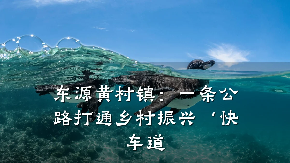 东源黄村镇:一条公路打通乡村振兴‘快车道