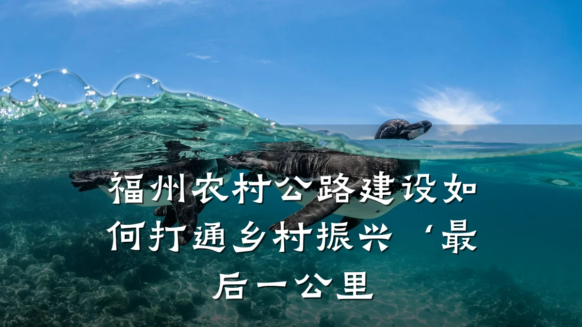 福州农村公路建设如何打通乡村振兴‘最后一公里