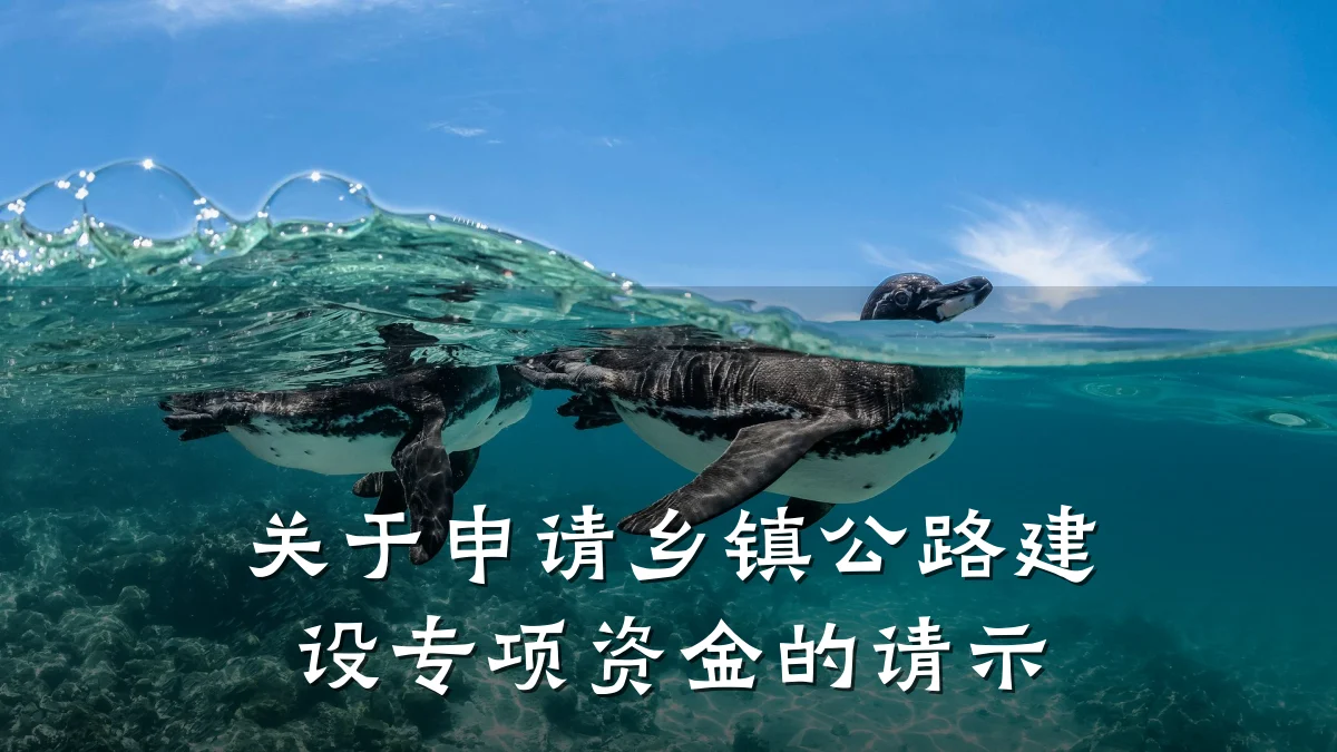 关于申请乡镇公路建设专项资金的请示