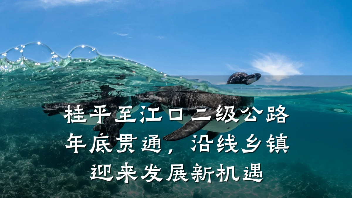 桂平至江口二级公路年底贯通,沿线乡镇迎来发展新机遇
