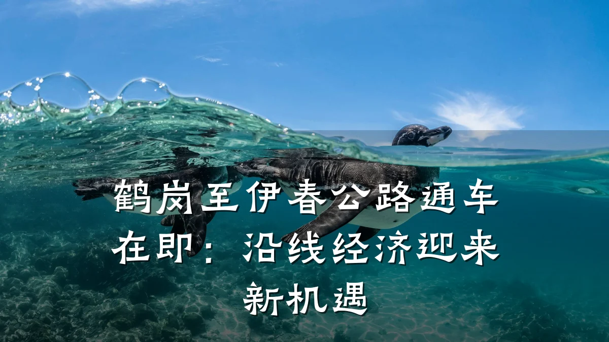 鹤岗至伊春公路通车在即:沿线经济迎来新机遇