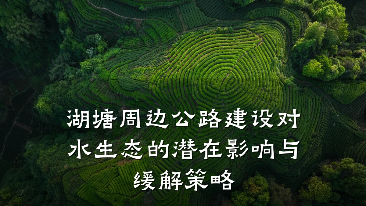 湖塘周边公路建设对水生态的潜在影响与缓解策略