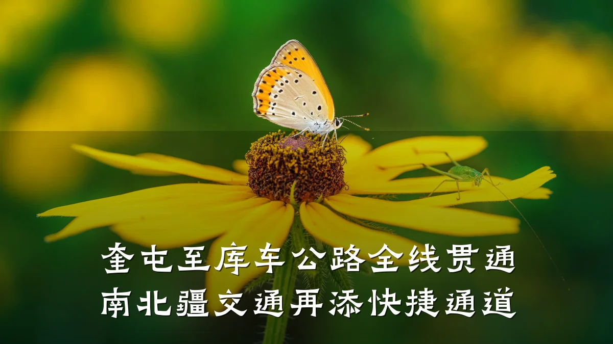 奎屯至库车公路全线贯通 南北疆交通再添快捷通道