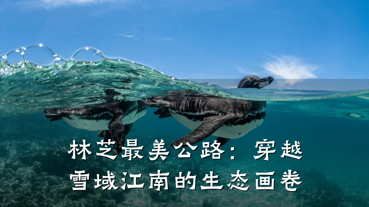 林芝最美公路:穿越雪域江南的生态画卷