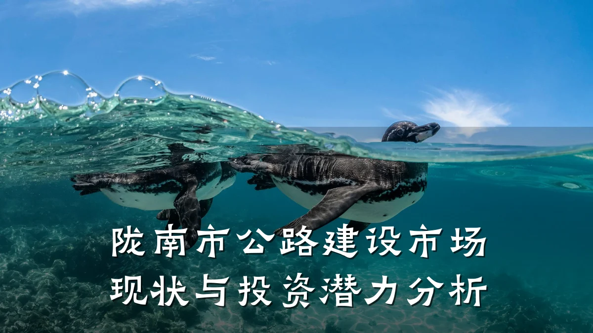 陇南市公路建设市场现状与投资潜力分析