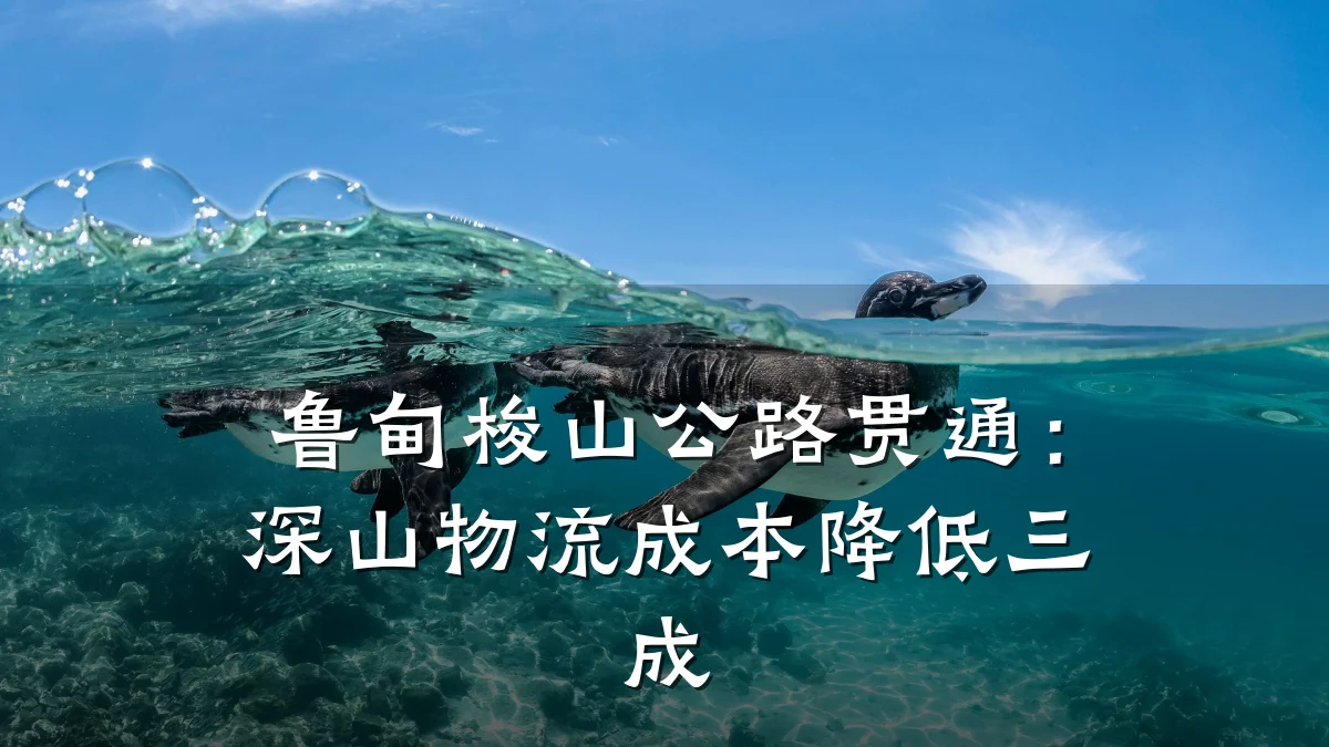 鲁甸梭山公路贯通:深山物流成本降低三成