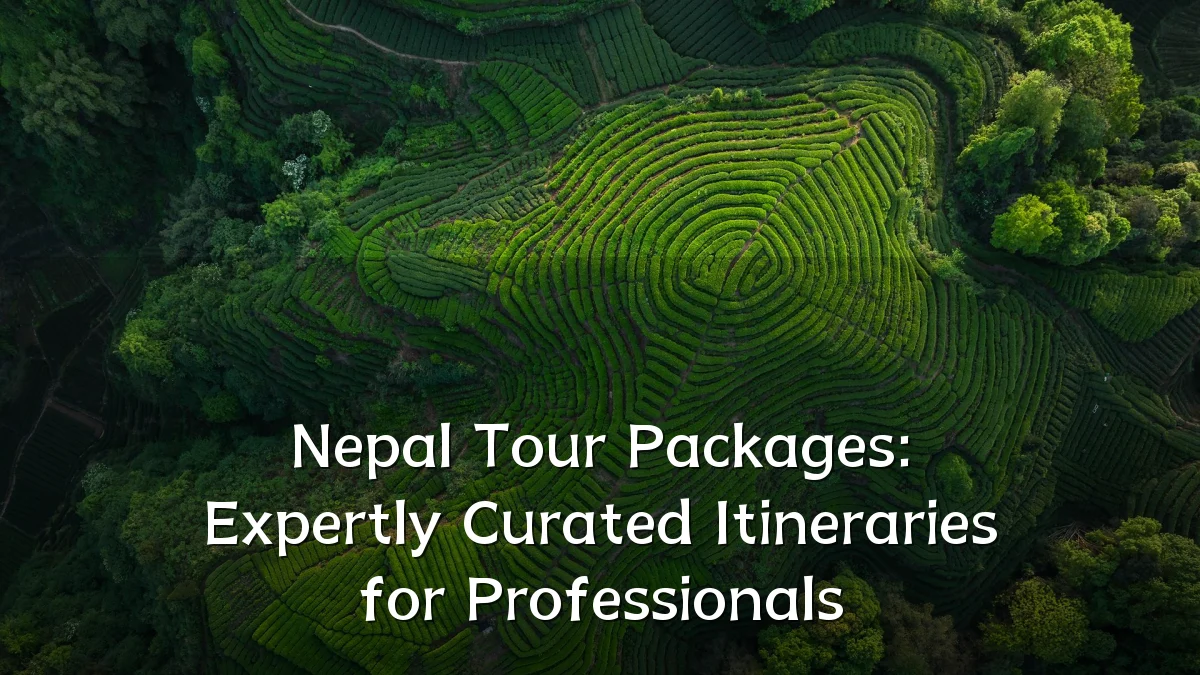 Nepal Tour Packages: Expertly Curated Itineraries for Professionals