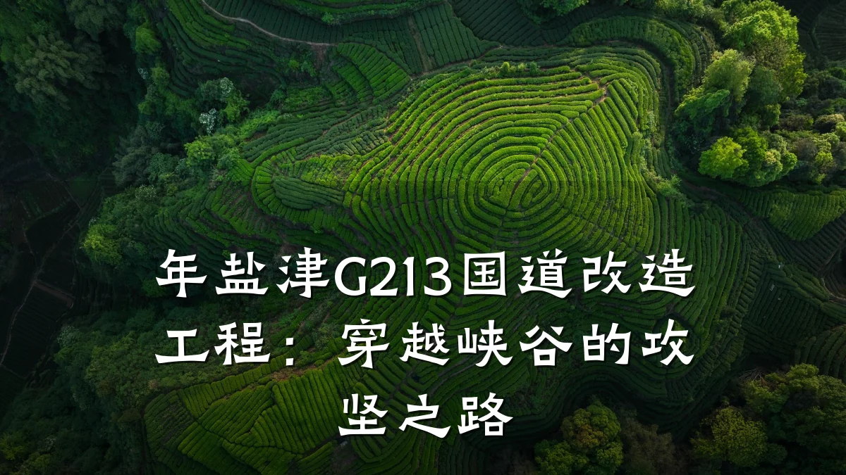 年盐津G213国道改造工程：穿越峡谷的攻坚之路