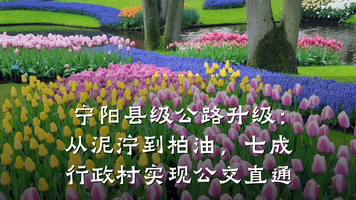 宁阳县级公路升级：从泥泞到柏油，七成行政村实现公交直通
