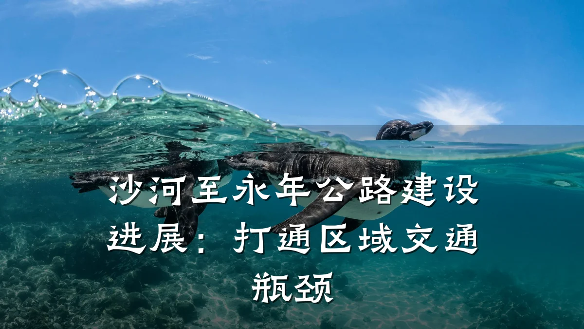 沙河至永年公路建设进展：打通区域交通瓶颈