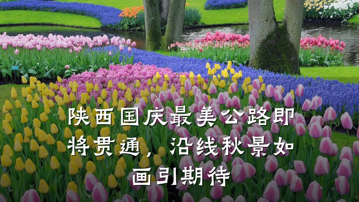 陕西国庆最美公路即将贯通,沿线秋景如画引期待