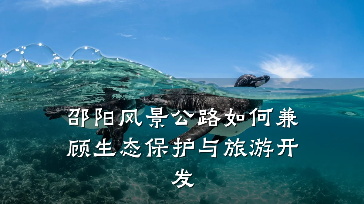 邵阳风景公路如何兼顾生态保护与旅游开发