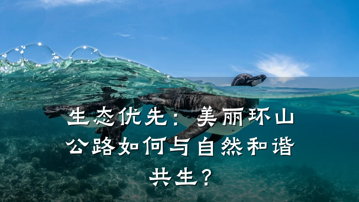 生态优先:美丽环山公路如何与自然和谐共生?