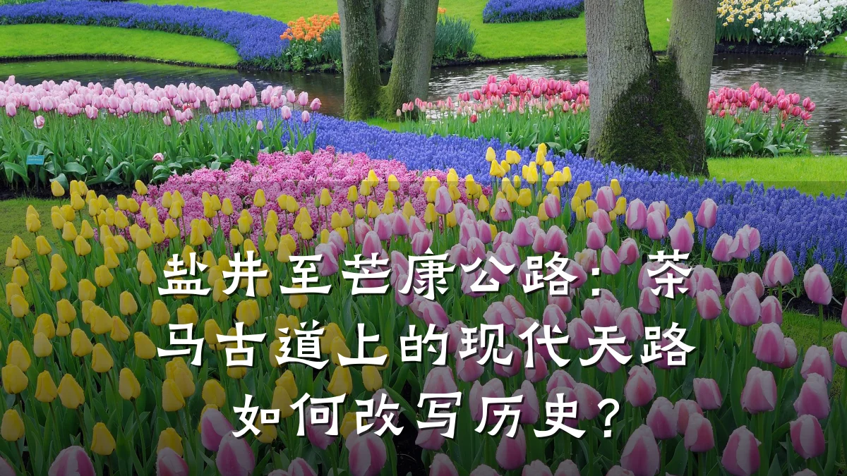 盐井至芒康公路:茶马古道上的现代天路如何改写历史?
