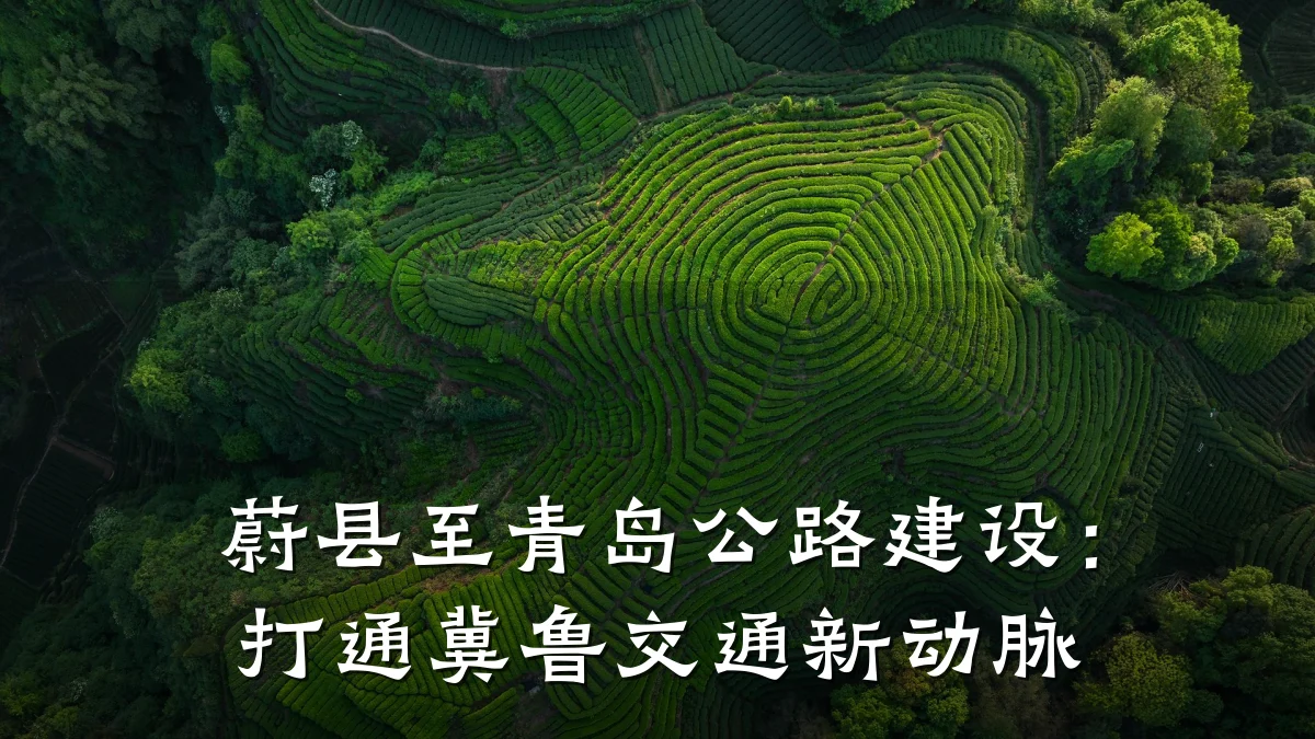 蔚县至青岛公路建设:打通冀鲁交通新动脉