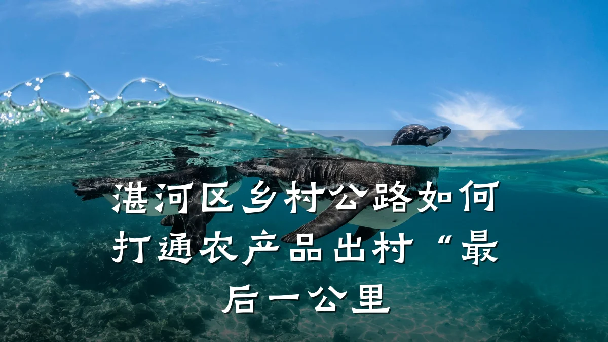 湛河区乡村公路如何打通农产品出村“最后一公里