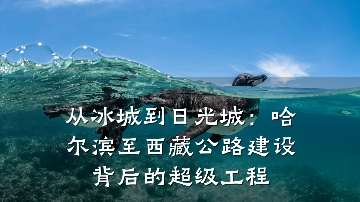 从冰城到日光城:哈尔滨至西藏公路建设背后的超级工程