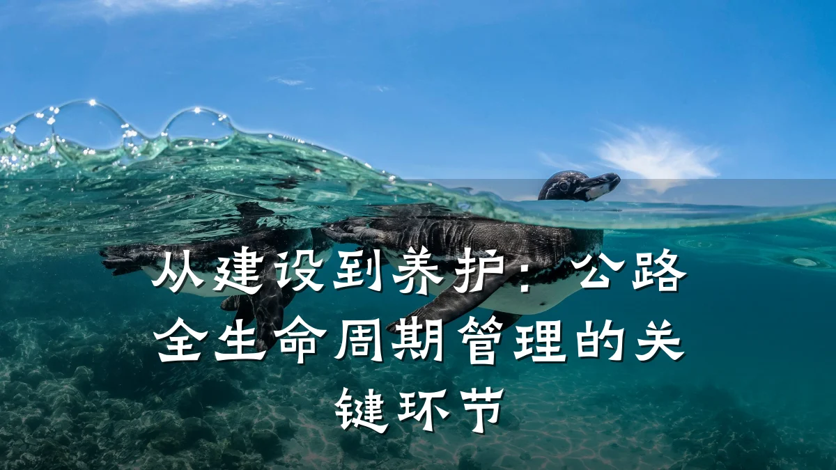 从建设到养护:公路全生命周期管理的关键环节