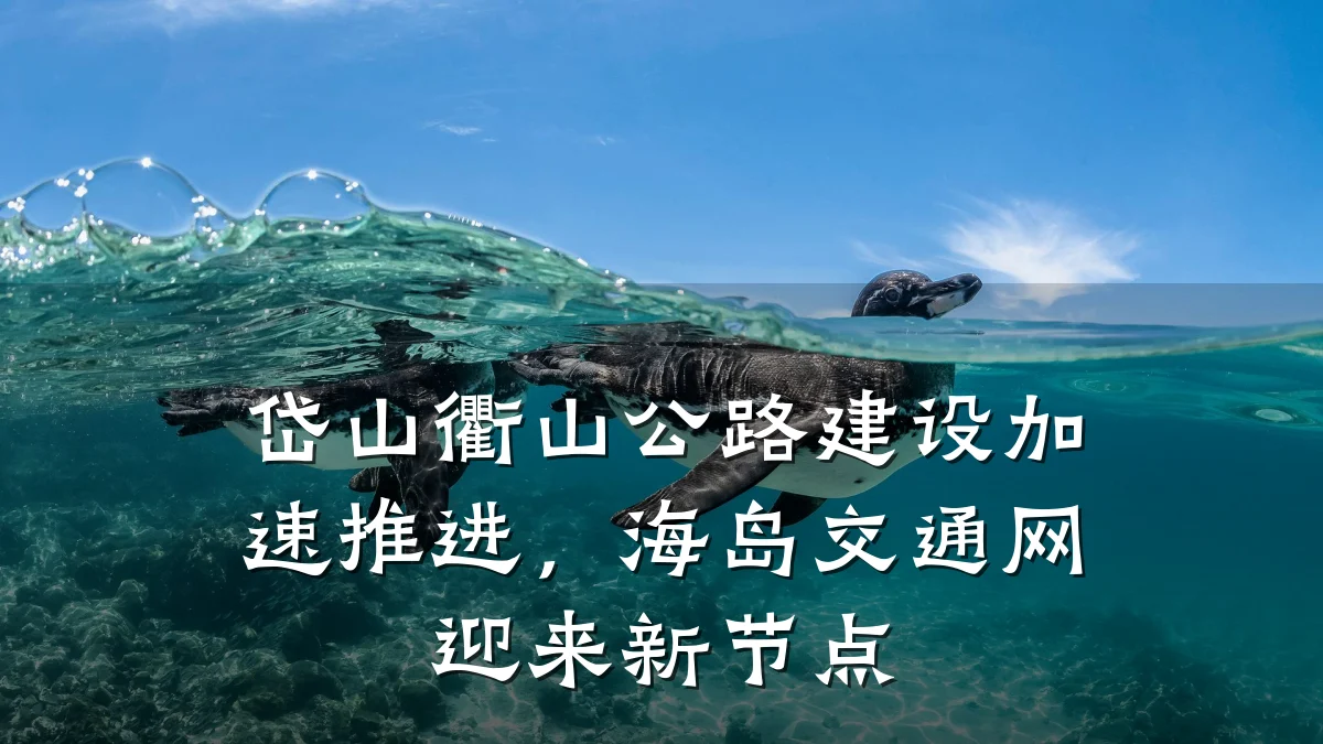 岱山衢山公路建设加速推进,海岛交通网迎来新节点