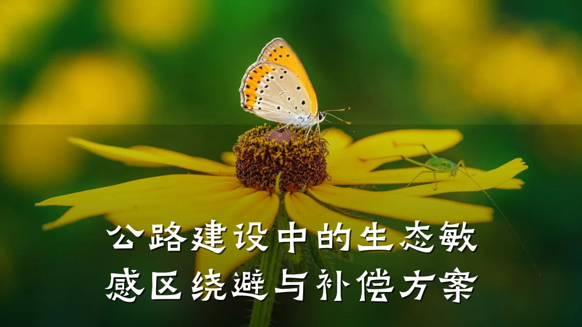 公路建设中的生态敏感区绕避与补偿方案
