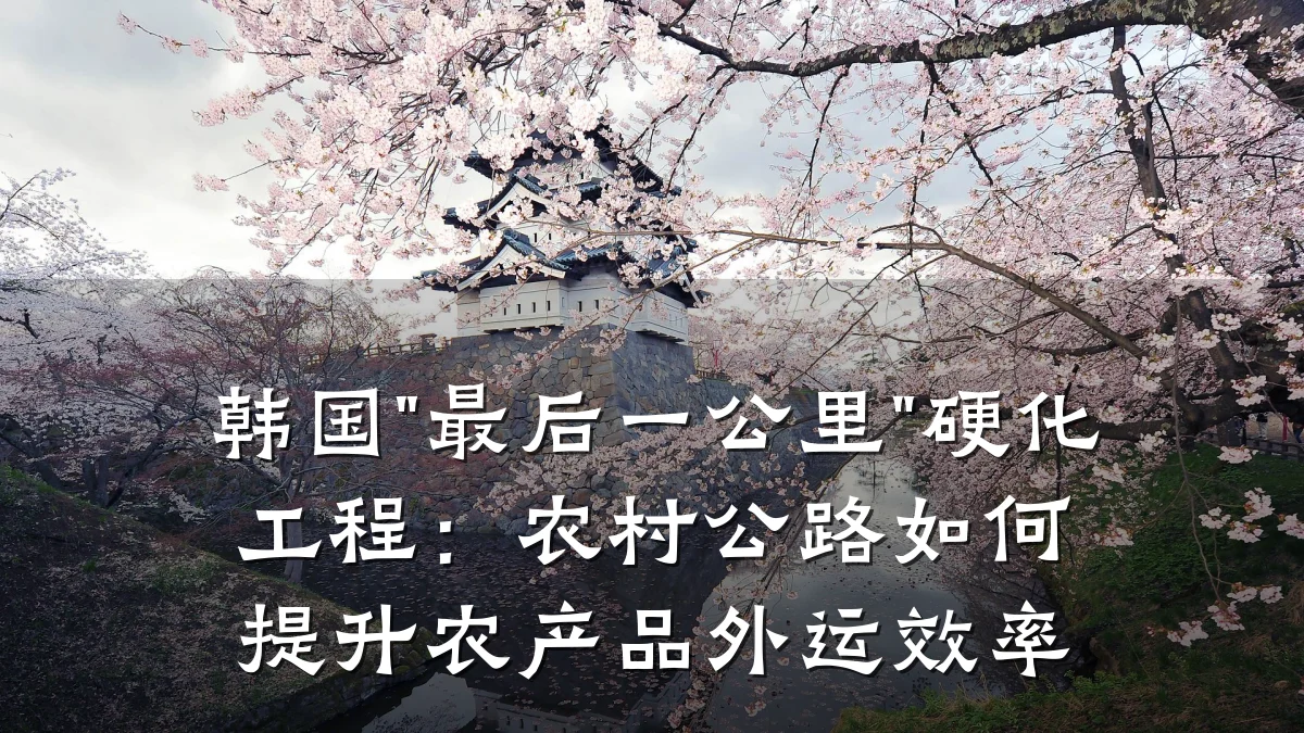 韩国"最后一公里"硬化工程：农村公路如何提升农产品外运效率