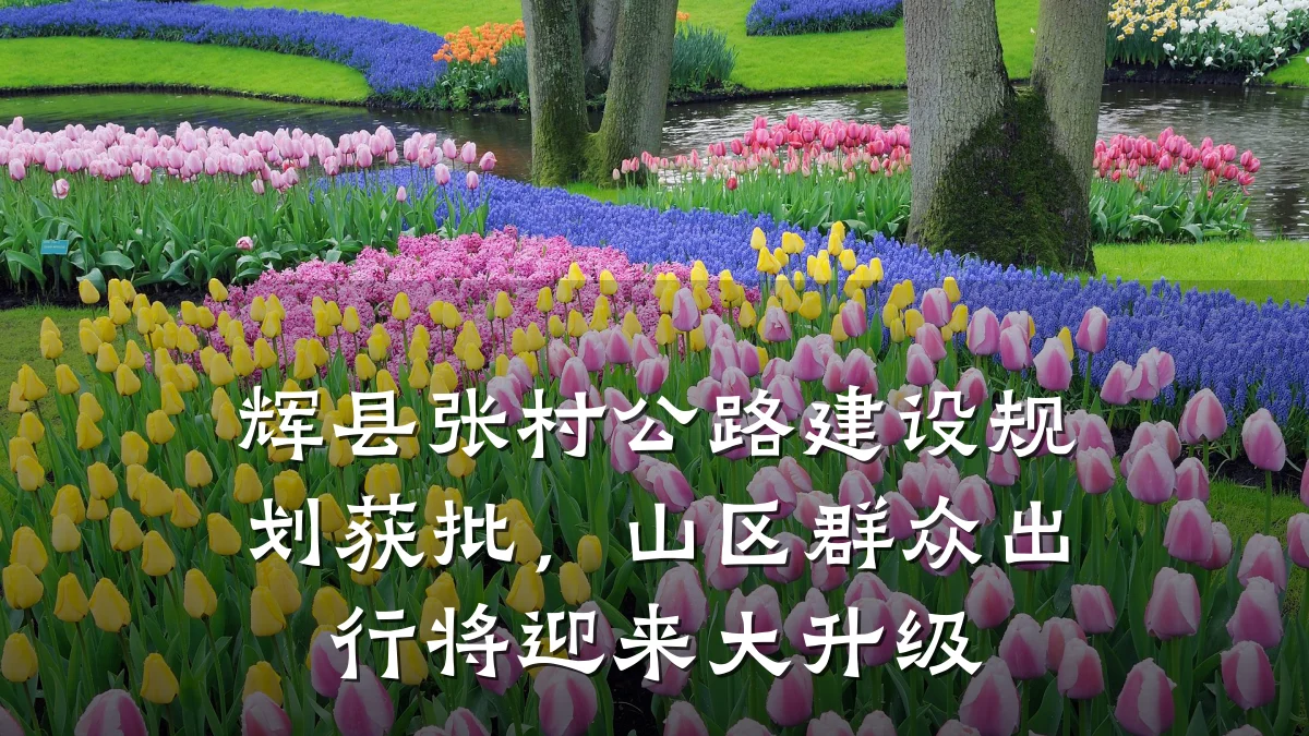 辉县张村公路建设规划获批,山区群众出行将迎来大升级