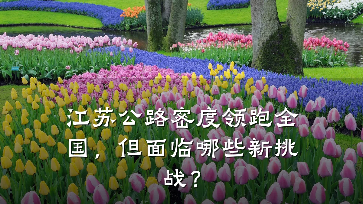 江苏公路密度领跑全国,但面临哪些新挑战?