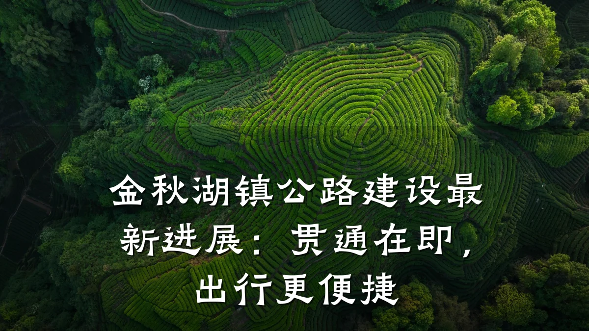 金秋湖镇公路建设最新进展：贯通在即，出行更便捷