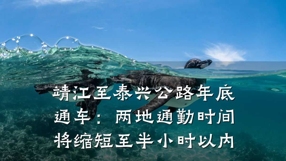 靖江至泰兴公路年底通车:两地通勤时间将缩短至半小时以内