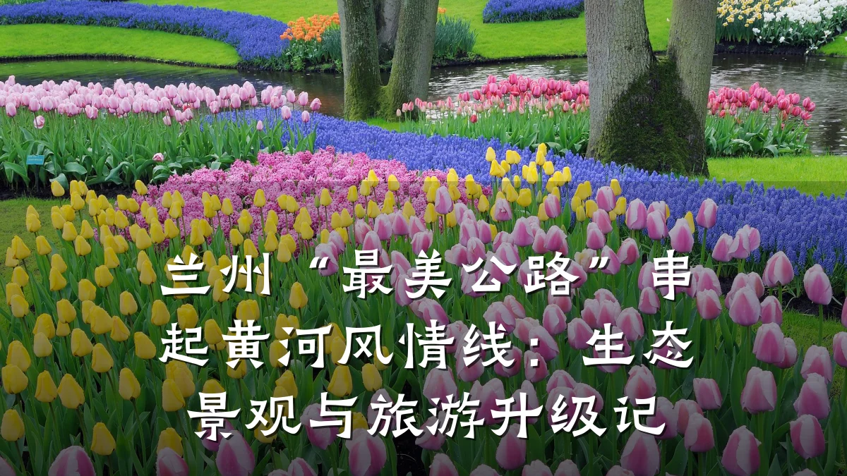 兰州“最美公路”串起黄河风情线:生态景观与旅游升级记
