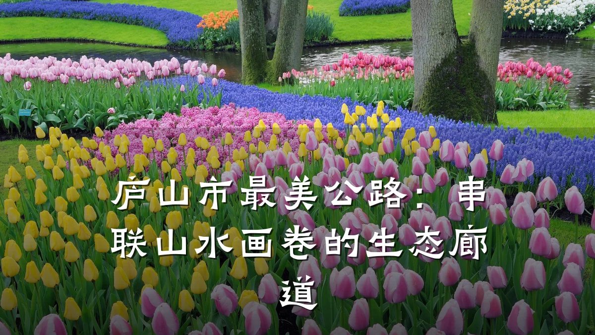 庐山市最美公路:串联山水画卷的生态廊道