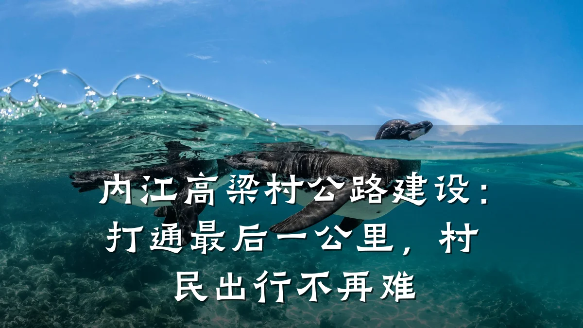 内江高梁村公路建设:打通最后一公里,村民出行不再难