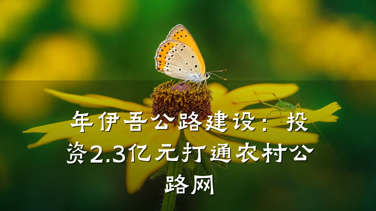 年伊吾公路建设:投资2.3亿元打通农村公路网