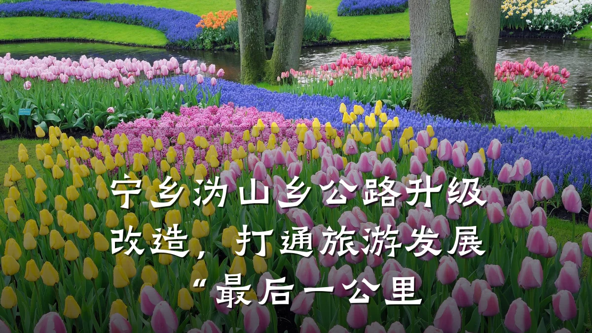 宁乡沩山乡公路升级改造,打通旅游发展“最后一公里