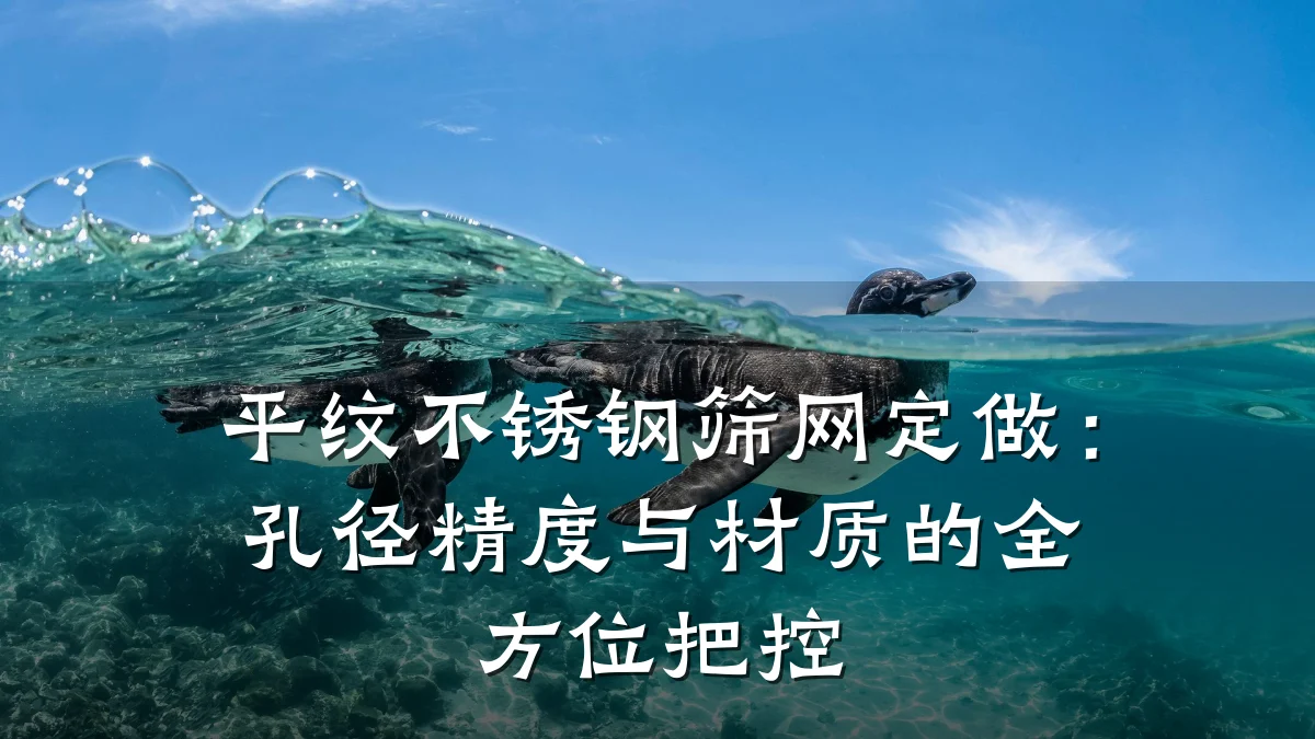 平纹不锈钢筛网定做：孔径精度与材质的全方位把控