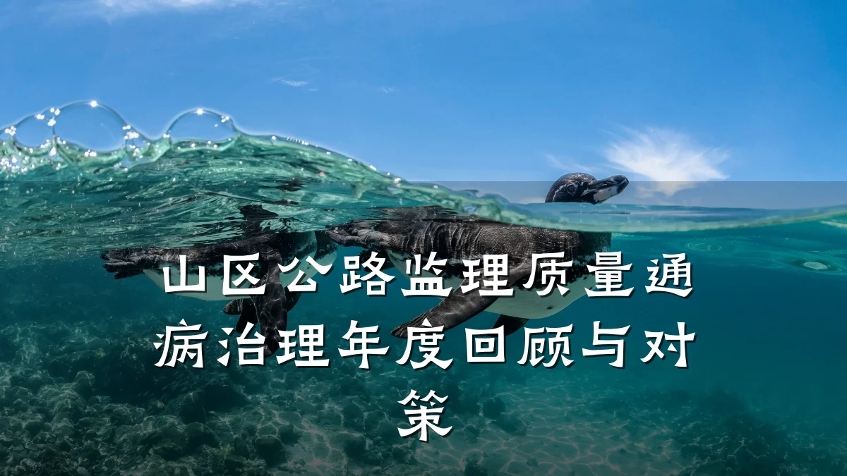 山区公路监理质量通病治理年度回顾与对策