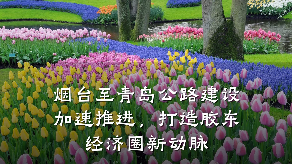 烟台至青岛公路建设加速推进,打造胶东经济圈新动脉