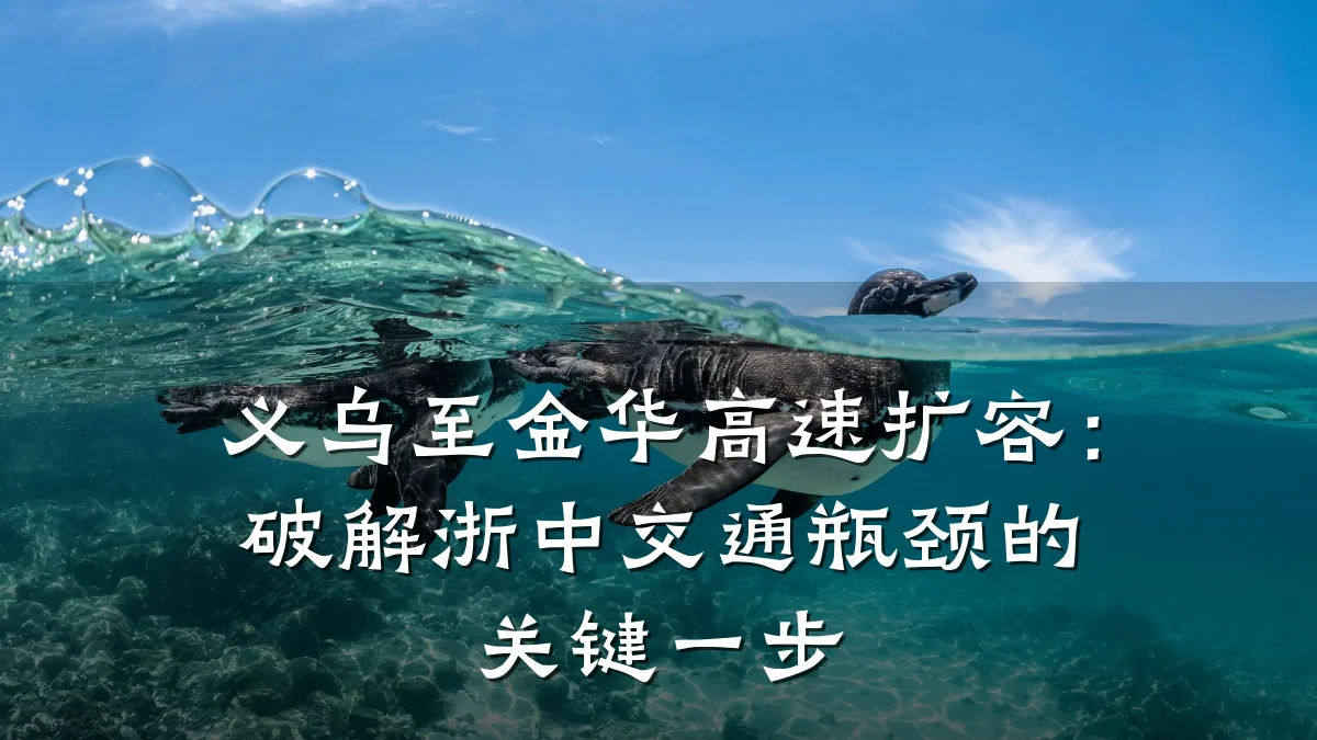 义乌至金华高速扩容:破解浙中交通瓶颈的关键一步