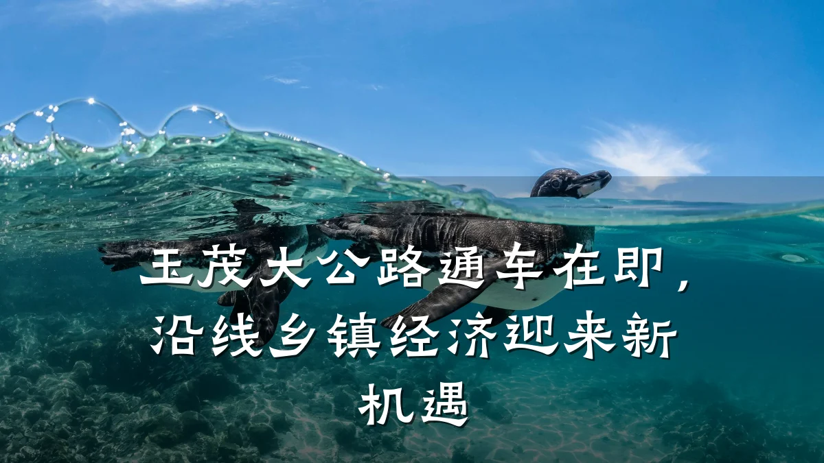 玉茂大公路通车在即,沿线乡镇经济迎来新机遇