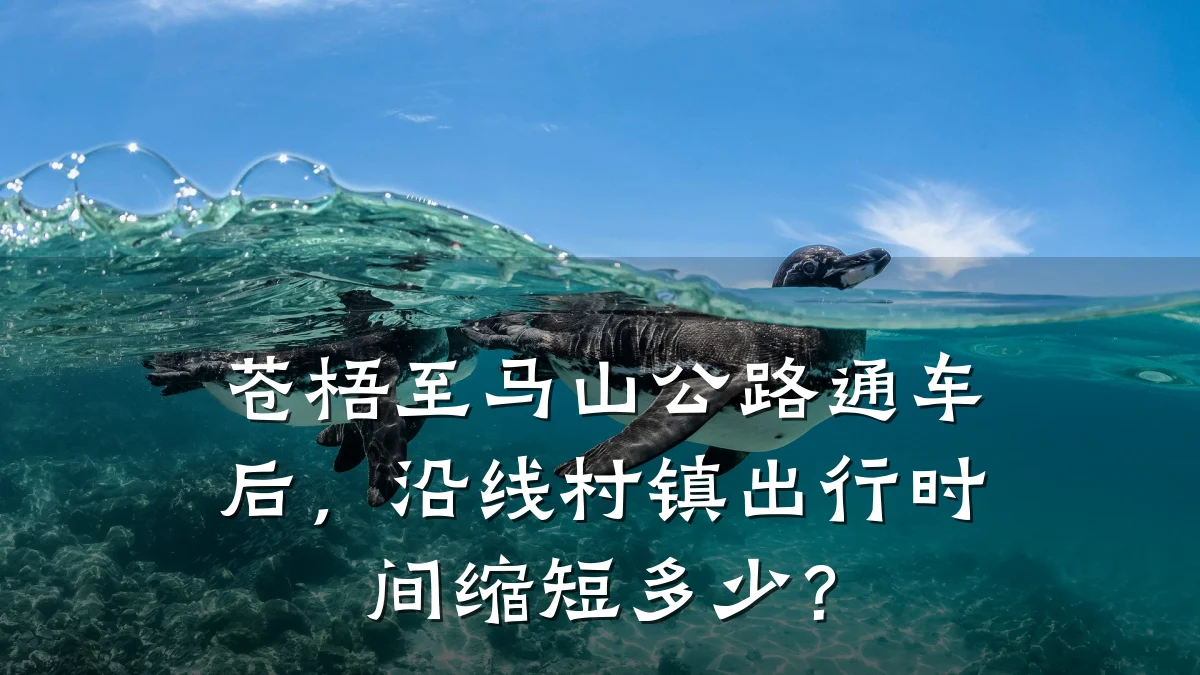 苍梧至马山公路通车后,沿线村镇出行时间缩短多少?