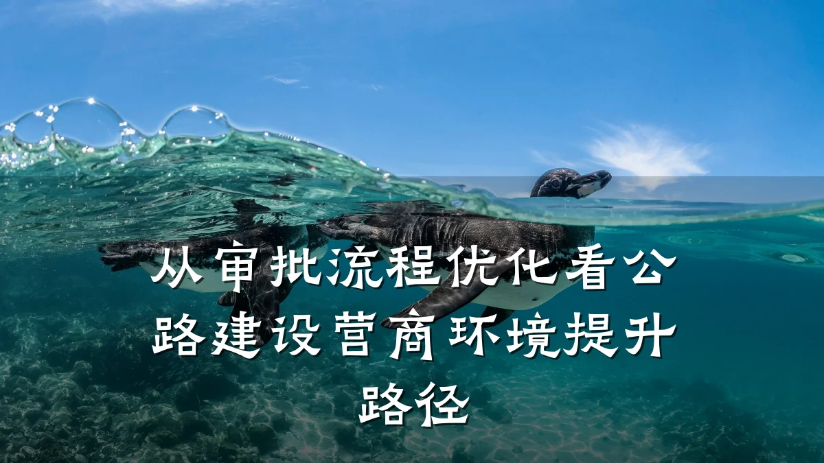 从审批流程优化看公路建设营商环境提升路径