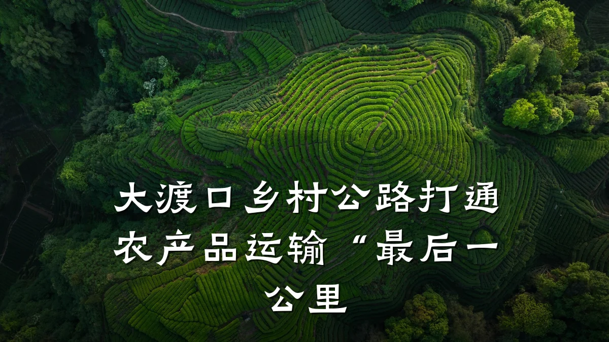大渡口乡村公路打通农产品运输“最后一公里