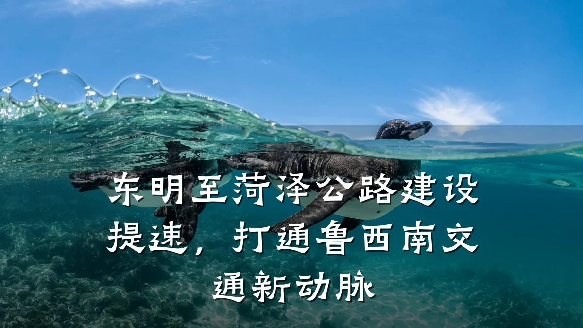 东明至菏泽公路建设提速,打通鲁西南交通新动脉