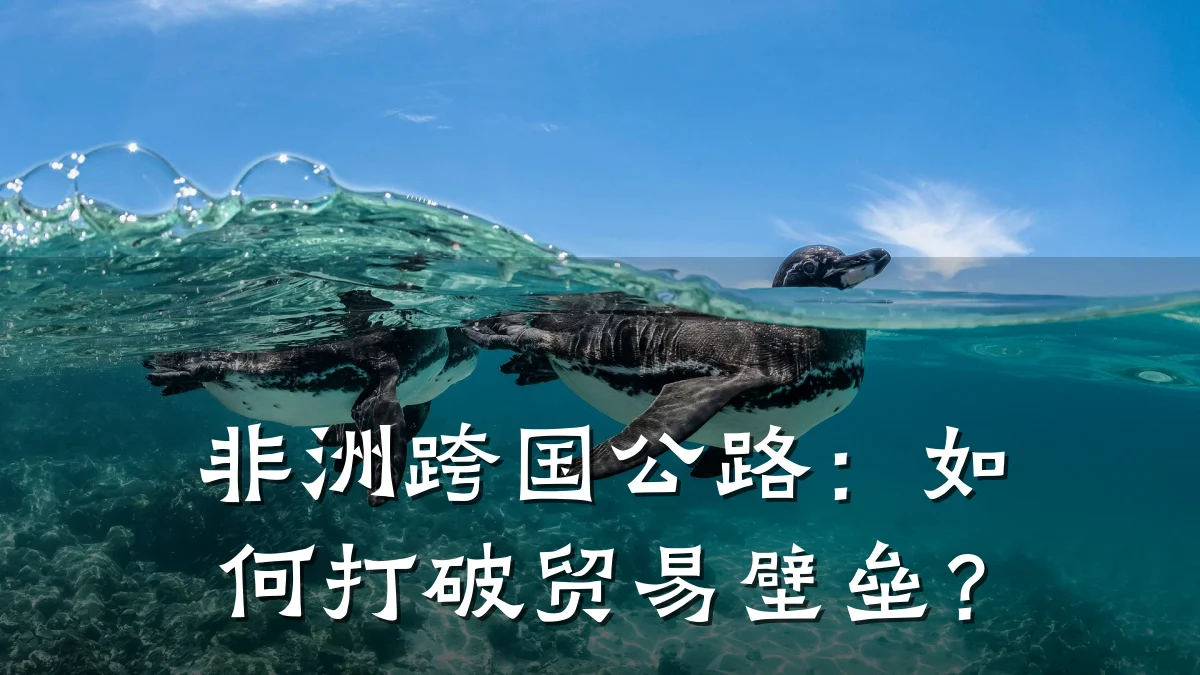 非洲跨国公路:如何打破贸易壁垒?