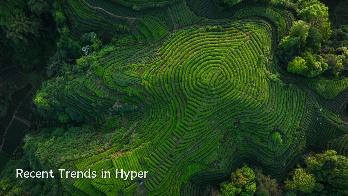 Recent Trends in Hyper