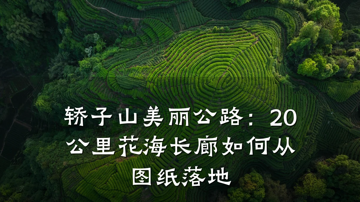 轿子山美丽公路：20公里花海长廊如何从图纸落地