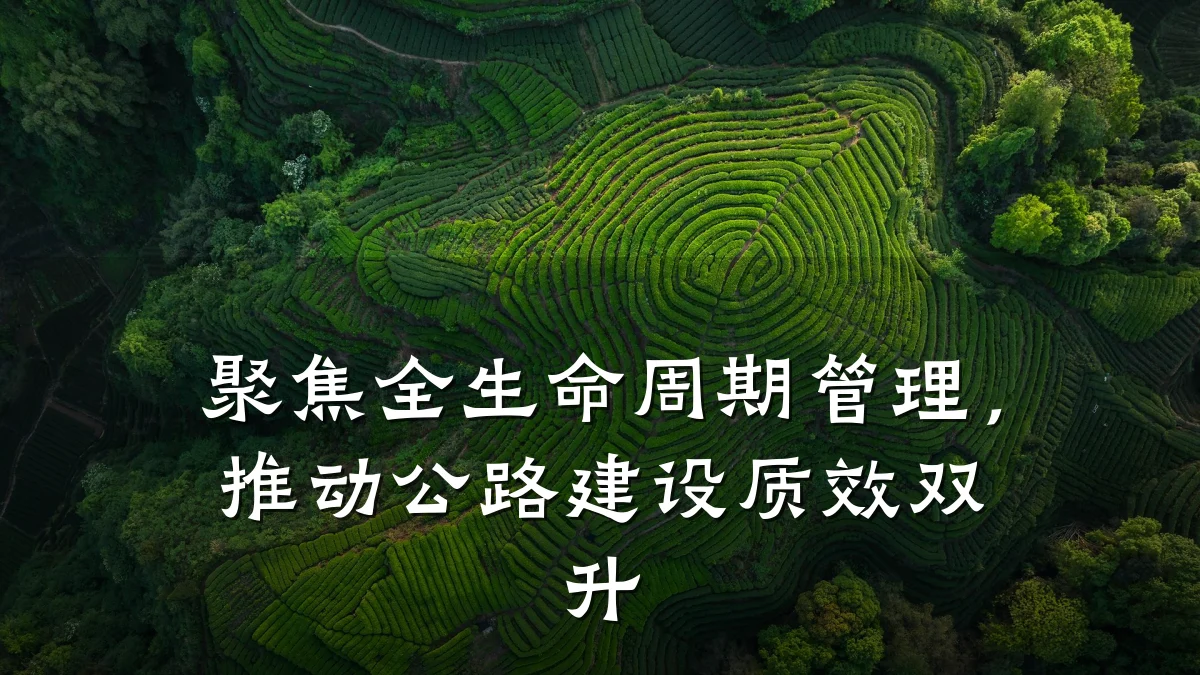聚焦全生命周期管理,推动公路建设质效双升
