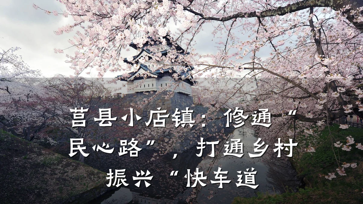 莒县小店镇：修通“民心路”，打通乡村振兴“快车道