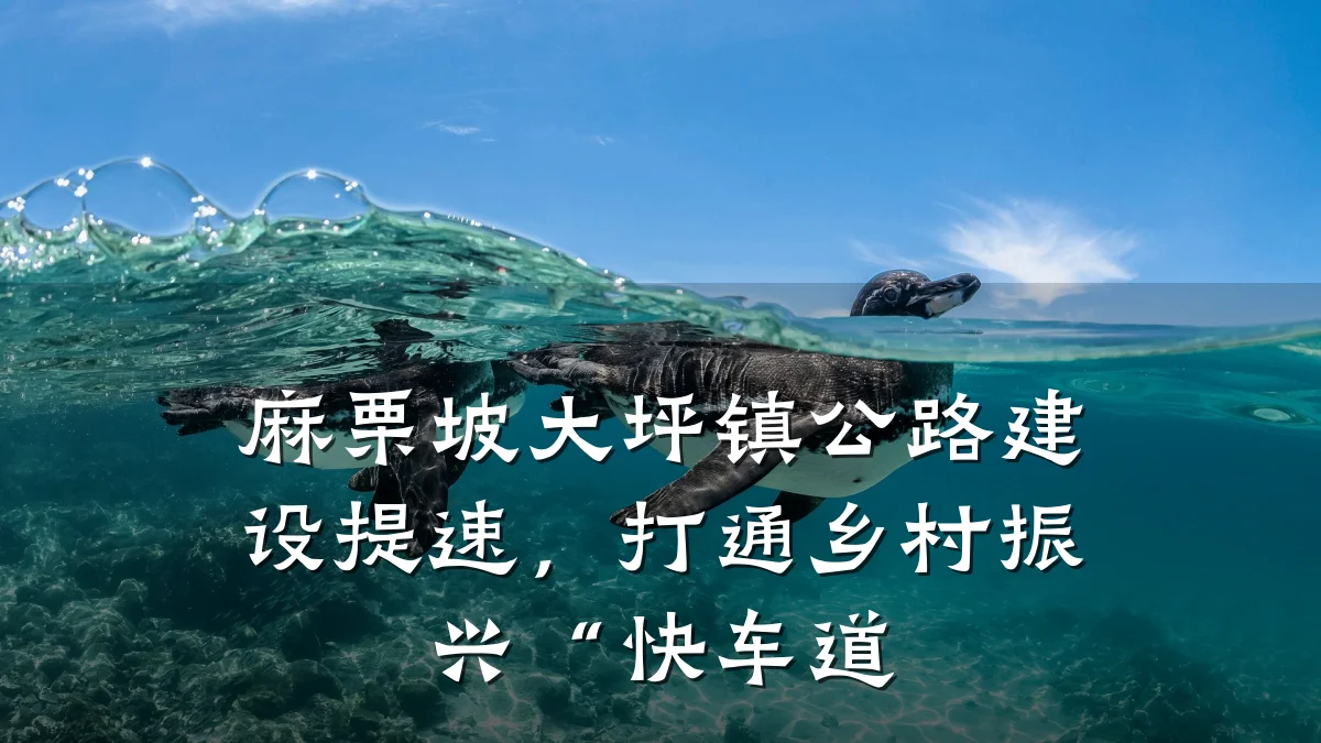 麻栗坡大坪镇公路建设提速,打通乡村振兴“快车道